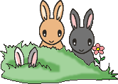 ウサギのアニメ